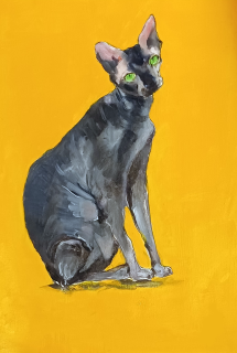 Nut — Oli sobre paper